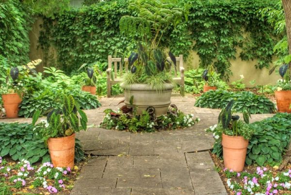 Private Botanical Garden - Pennau & Below Garden